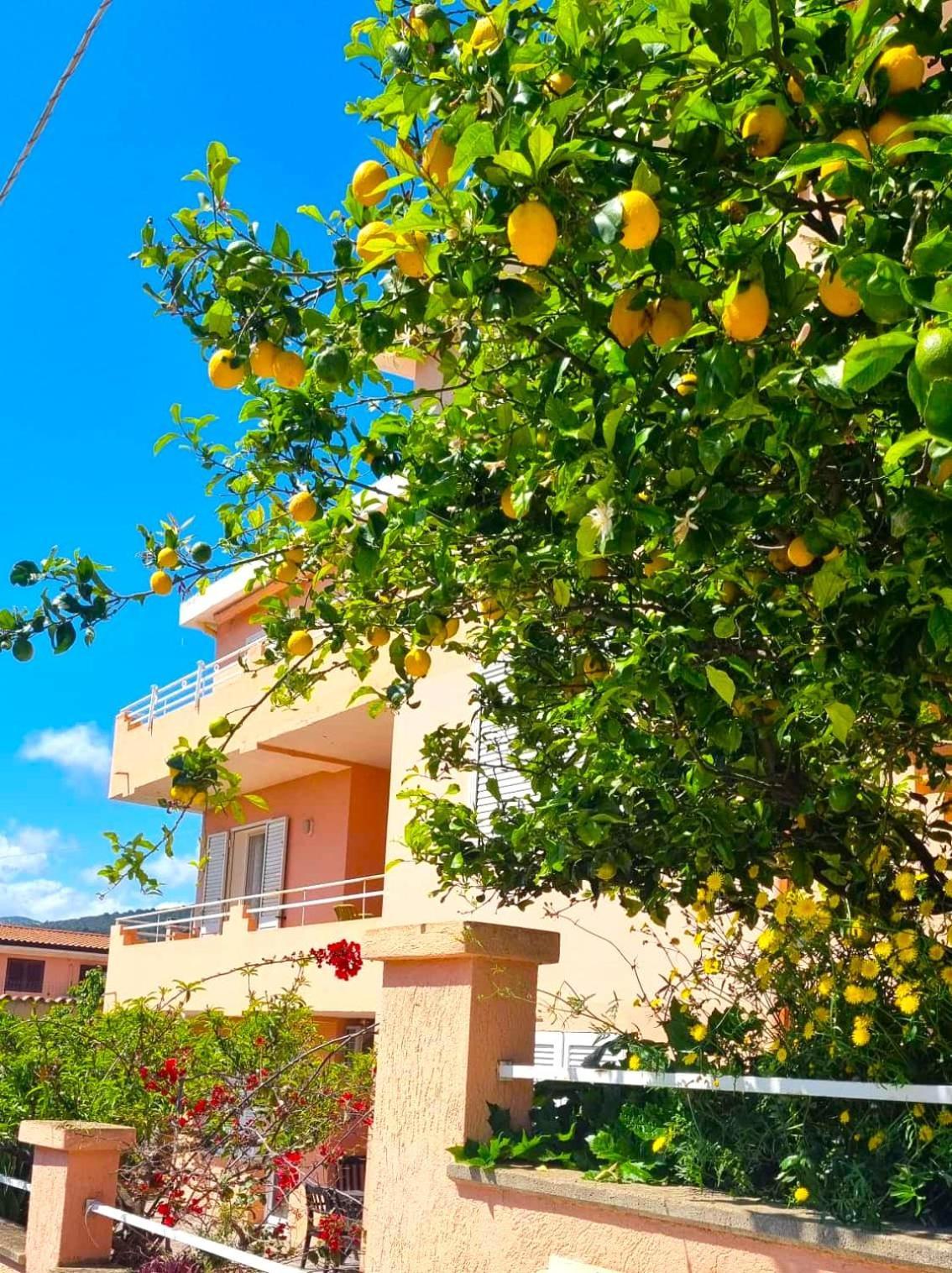 Casa Vacanze Mura Cala Gonone Exterior photo